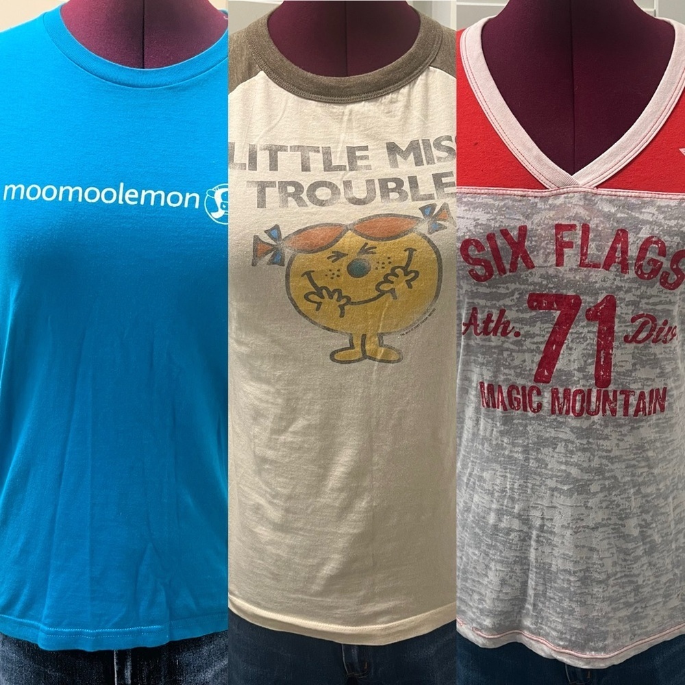 3x Y2K Vintage Funny Tees T-Shirts | American Apparel, Take Cover, Six Flags
